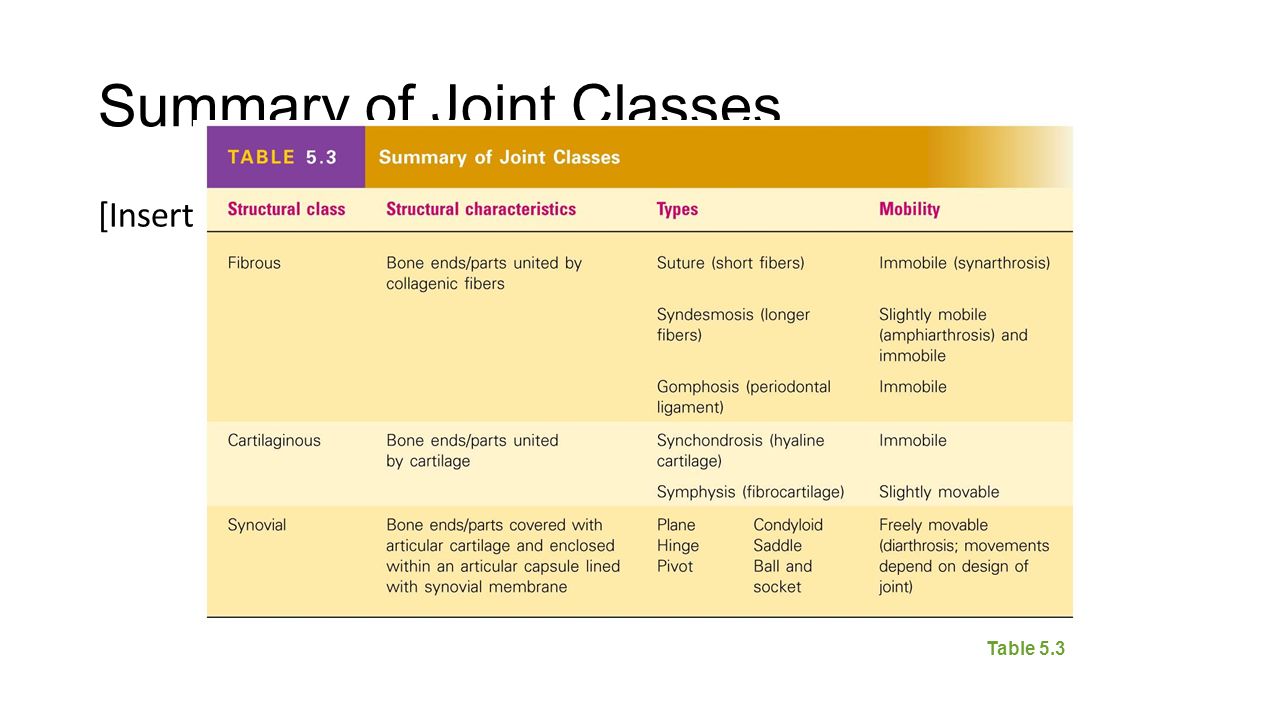 joint summary joint summary