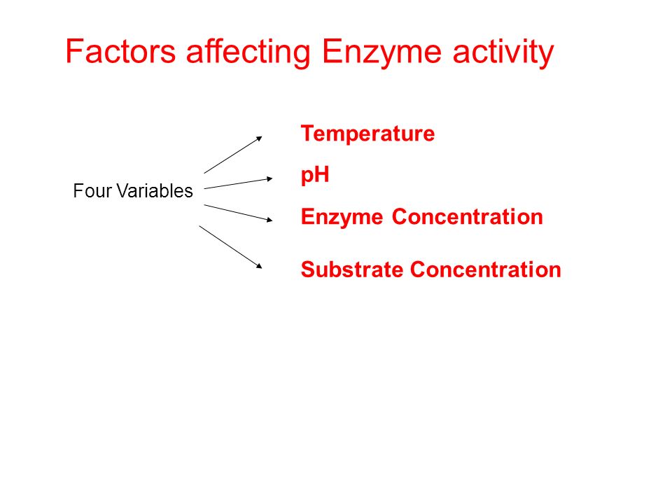 Worksheets Enzyme Activity Worksheet enzyme activity worksheet rringband enzymes name chebet milton contact subject biology topic