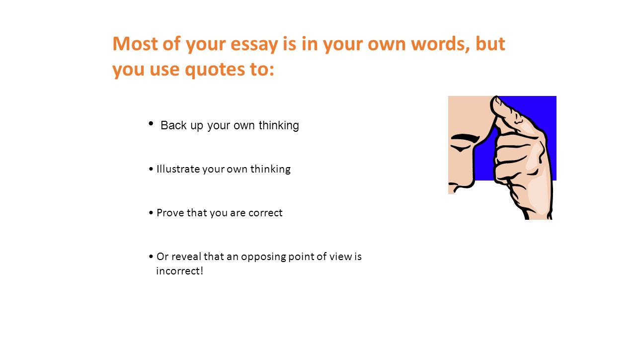 of your essay in most