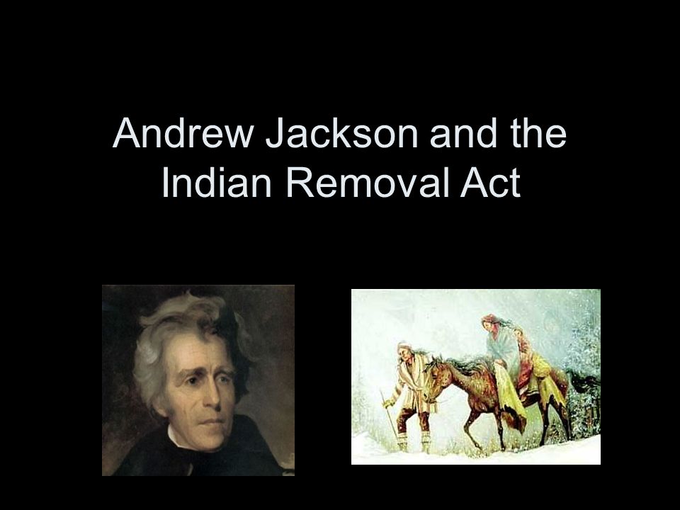 andrew jackson and trail of tears essay Andrew jackson 1 who is the above write a well-organized essay that includes an introduction microsoft word - larrow-trail of tearsdoc author: gagemyers. andrew jackson and trail of tears essay Andrew jackson 1 who is the above write a well-organized essay that includes an introduction microsoft word - larrow-trail of tearsdoc author: gagemyers.