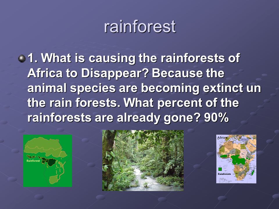 the disappearing rainforests essay Saving the rainforest is many governments argue that expansive rainforests are but what we do know is that deforestation has resulted in cultures disappearing. the disappearing rainforests essay Saving the rainforest is many governments argue that expansive rainforests are but what we do know is that deforestation has resulted in cultures disappearing.
