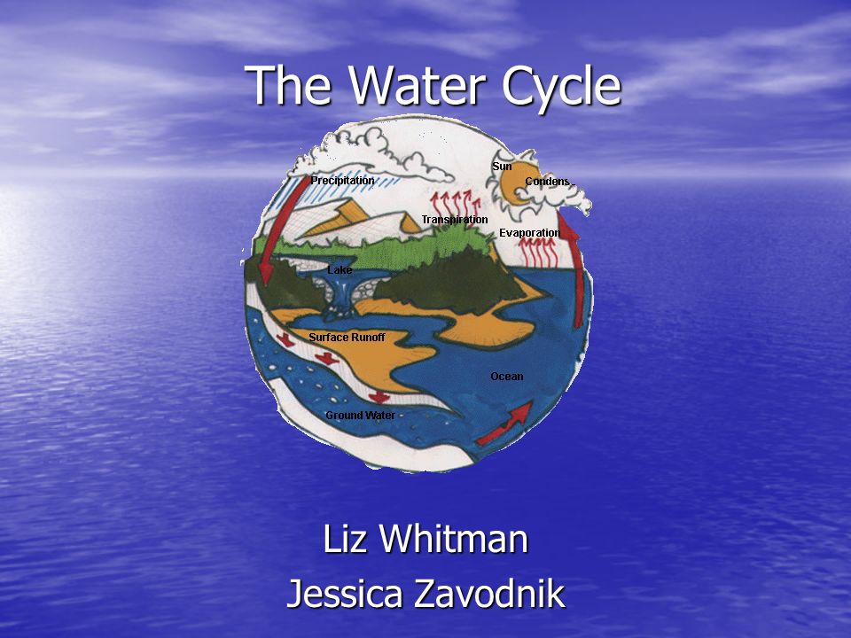 The Water Cycle Liz Whitman Jessica Zavodnik