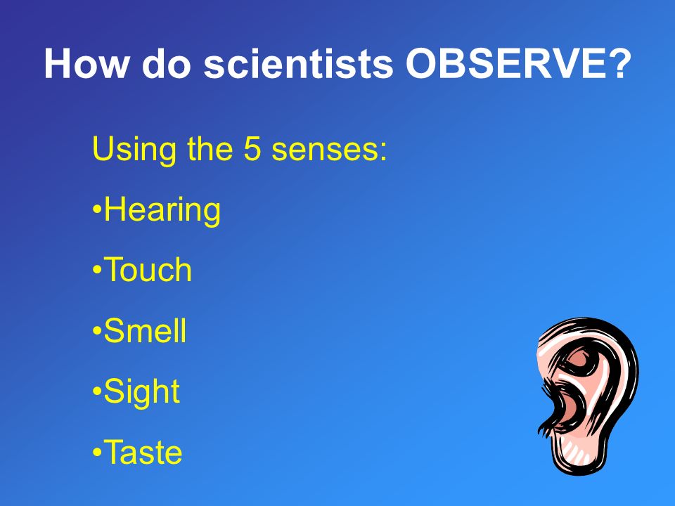 How do scientists OBSERVE Using the 5 senses: Hearing Touch Smell Sight Taste