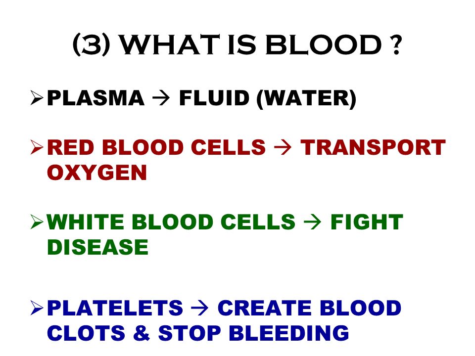 (3) WHAT IS BLOOD .