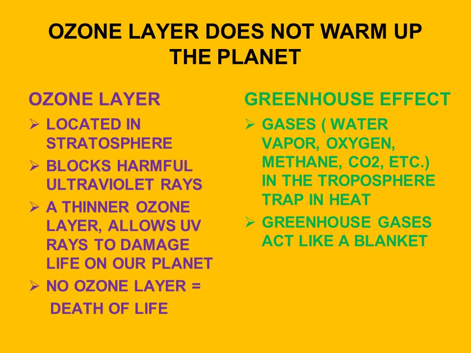 OZONE LAYER DOES NOT WARM UP THE PLANET OZONE LAYER  LOCATED IN STRATOSPHERE  BLOCKS HARMFUL ULTRAVIOLET RAYS  A THINNER OZONE LAYER, ALLOWS UV RAYS TO DAMAGE LIFE ON OUR PLANET  NO OZONE LAYER = DEATH OF LIFE GREENHOUSE EFFECT  GASES ( WATER VAPOR, OXYGEN, METHANE, CO2, ETC.) IN THE TROPOSPHERE TRAP IN HEAT  GREENHOUSE GASES ACT LIKE A BLANKET
