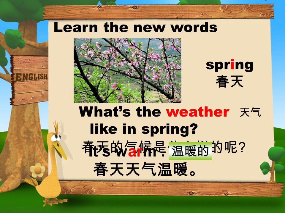 英语 6b unit 5 the seasons (part a) learn the new words spring