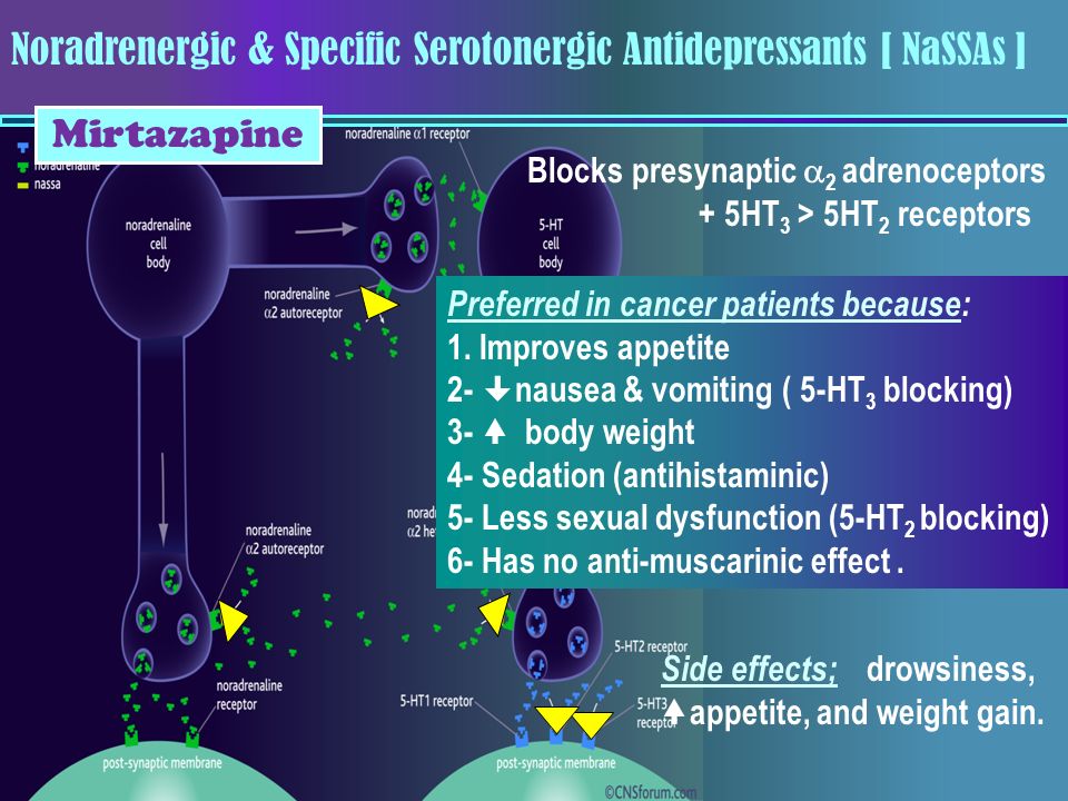 Mirtazapine side affects