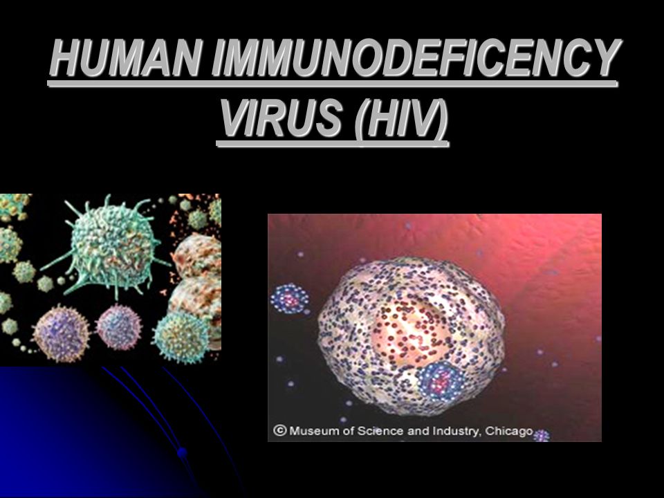 Virut HIV