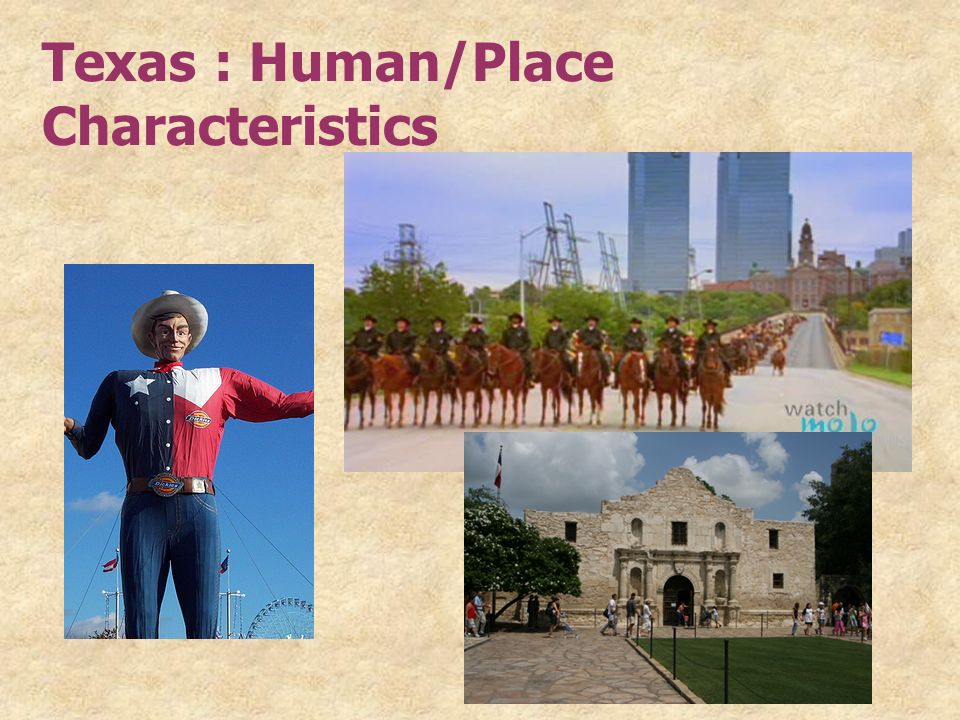 Texas : Human/Place Characteristics
