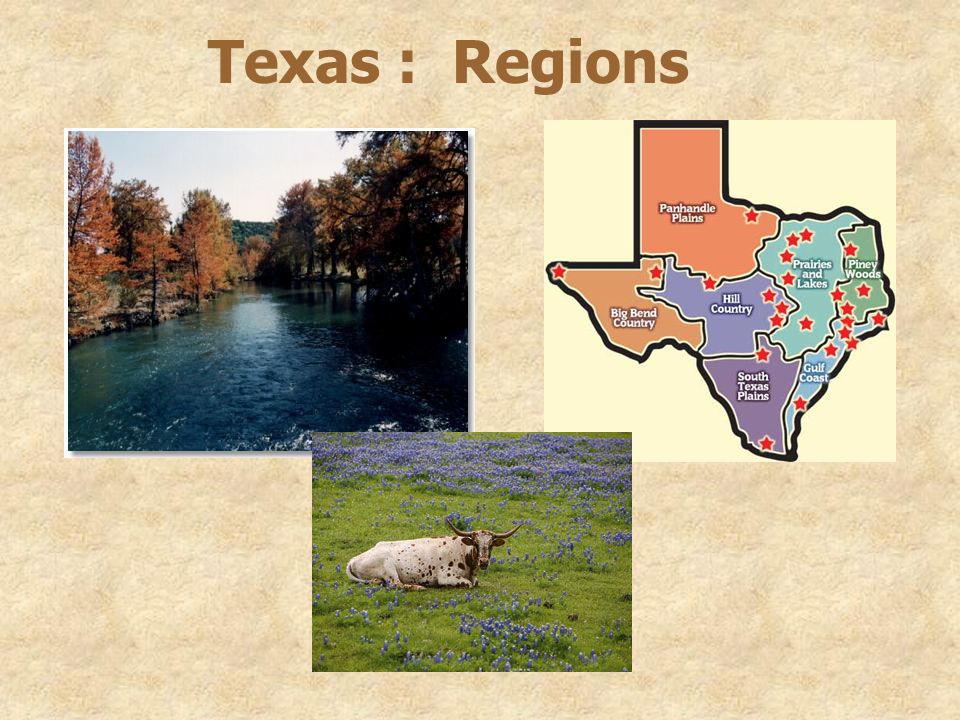 Texas : Regions
