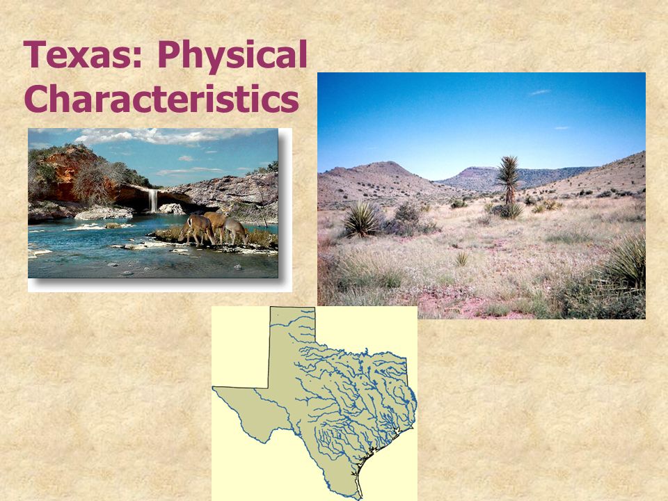 Texas: Physical Characteristics