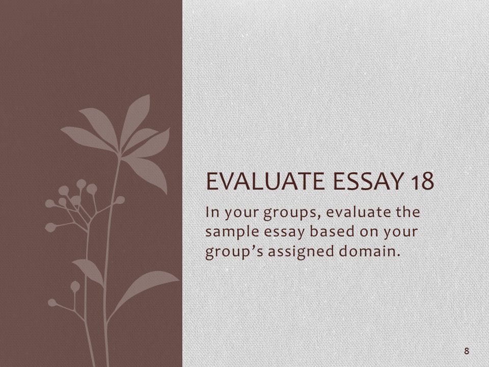 Group Evaluation Essay