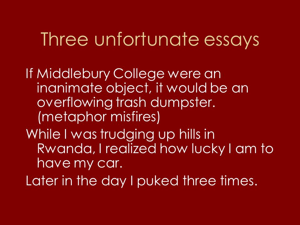 Extended Metaphor Essay