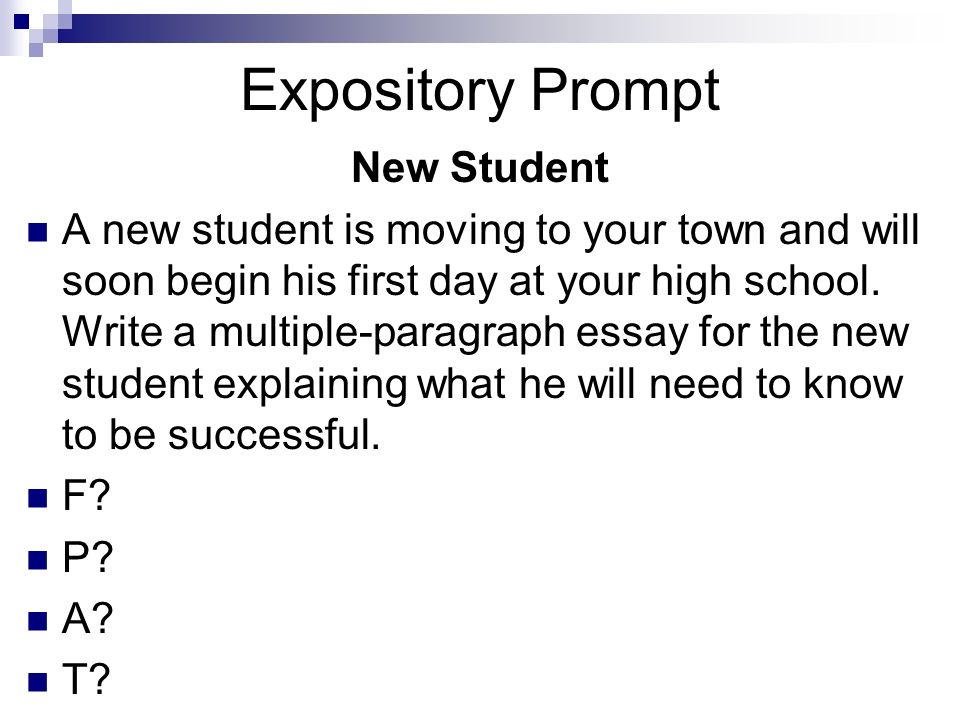 persuasive essay on homework