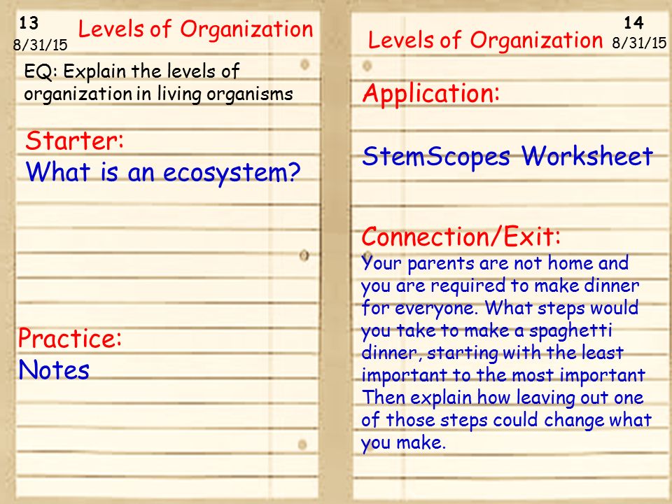 Printables Levels Of Organization Biology Worksheet 3115 levels of organization 83115 starter what is an ecosystem 13 14 starter