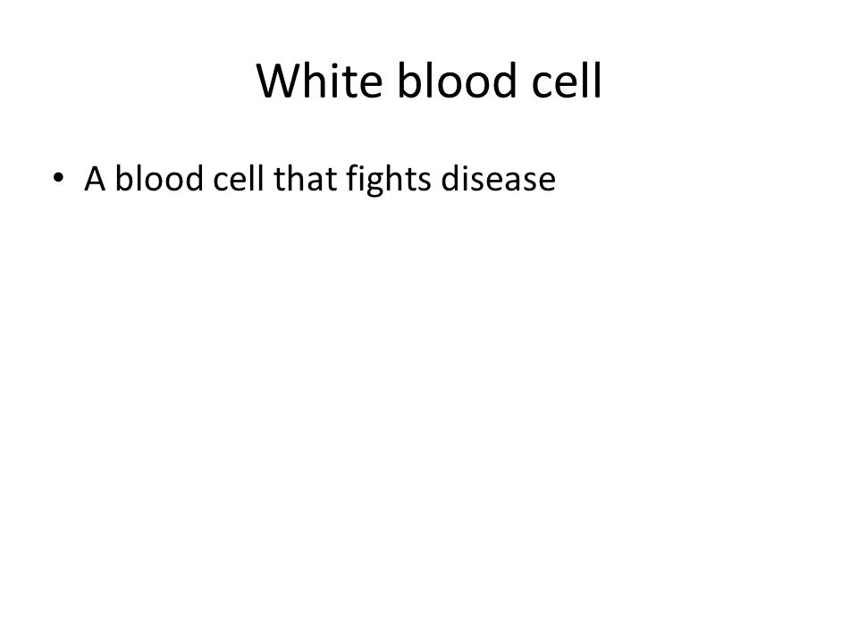 White blood cell A blood cell that fights disease