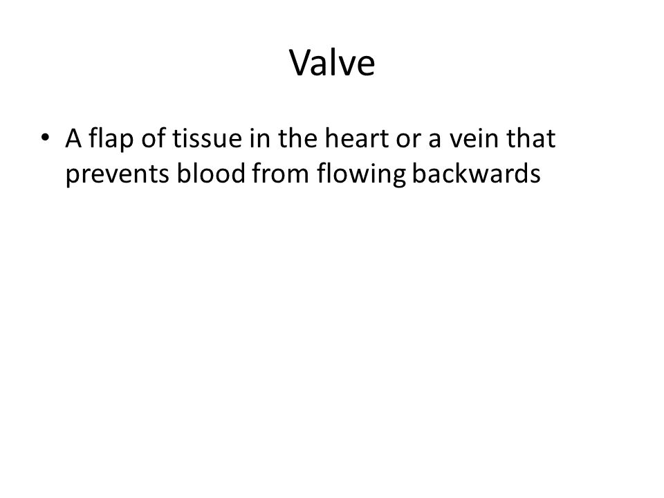 Valve A flap of tissue in the heart or a vein that prevents blood from flowing backwards