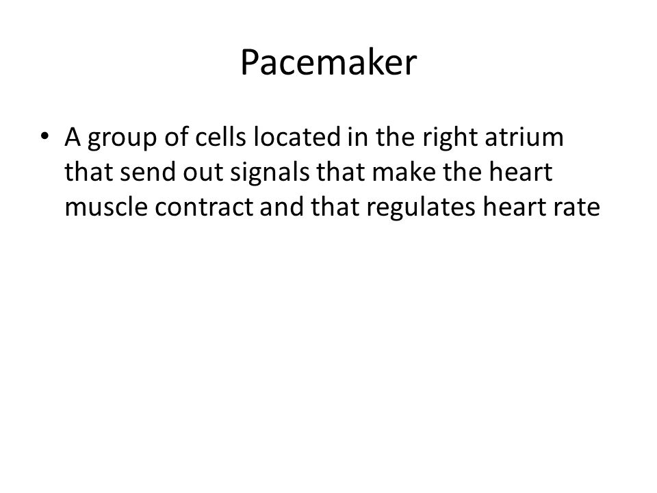 Pacemaker A group of cells located in the right atrium that send out signals that make the heart muscle contract and that regulates heart rate