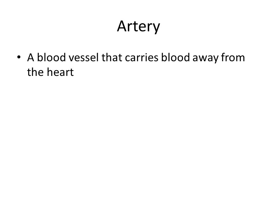 Artery A blood vessel that carries blood away from the heart