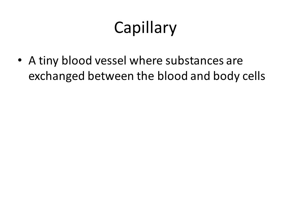Capillary A tiny blood vessel where substances are exchanged between the blood and body cells
