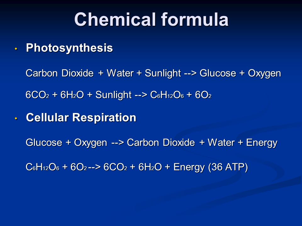 Chemical formula Photosynthesis Photosynthesis Carbon Dioxide + Water + Sunlight --> Glucose + Oxygen Carbon Dioxide + Water + Sunlight --> Glucose + Oxygen 6CO 2 + 6H 2 O + Sunlight --> C 6 H 12 O 6 + 6O 2 6CO 2 + 6H 2 O + Sunlight --> C 6 H 12 O 6 + 6O 2 Cellular Respiration Cellular Respiration Glucose + Oxygen --> Carbon Dioxide + Water + Energy Glucose + Oxygen --> Carbon Dioxide + Water + Energy C 6 H 12 O 6 + 6O 2 --> 6CO 2 + 6H 2 O + Energy (36 ATP) C 6 H 12 O 6 + 6O 2 --> 6CO 2 + 6H 2 O + Energy (36 ATP)