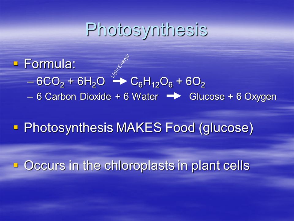 Photosynthesis  Formula: –6CO 2 + 6H 2 O C 6 H 12 O 6 + 6O 2 –6 Carbon Dioxide + 6 Water Glucose + 6 Oxygen  Photosynthesis MAKES Food (glucose)  Occurs in the chloroplasts in plant cells Light Energy