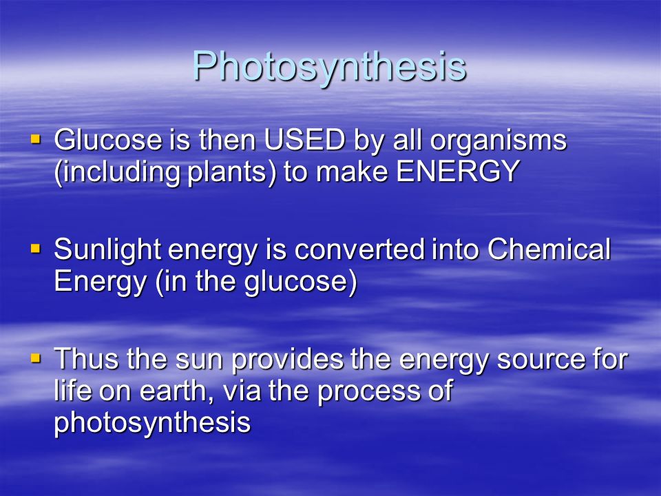 Photosynthesis  Glucose is then USED by all organisms (including plants) to make ENERGY  Sunlight energy is converted into Chemical Energy (in the glucose)  Thus the sun provides the energy source for life on earth, via the process of photosynthesis