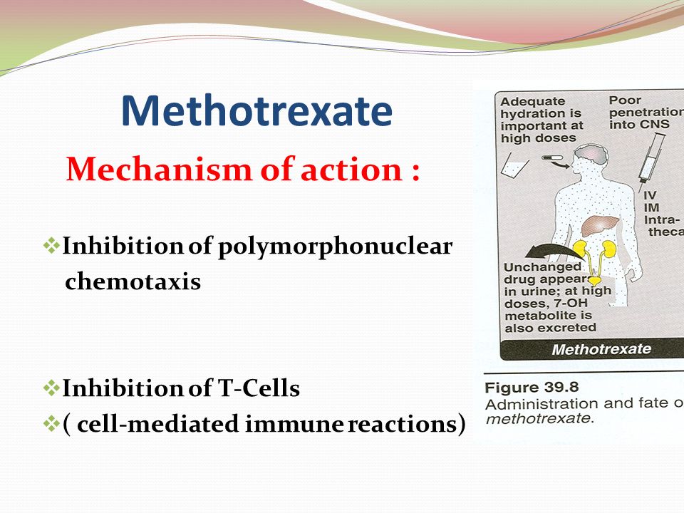 methotrexate mechanism of action