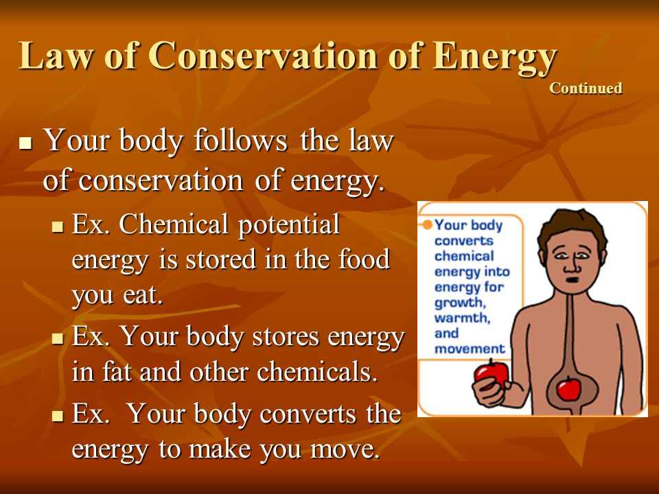 Law of Conservation of Energy Continued Your body follows the law of conservation of energy.