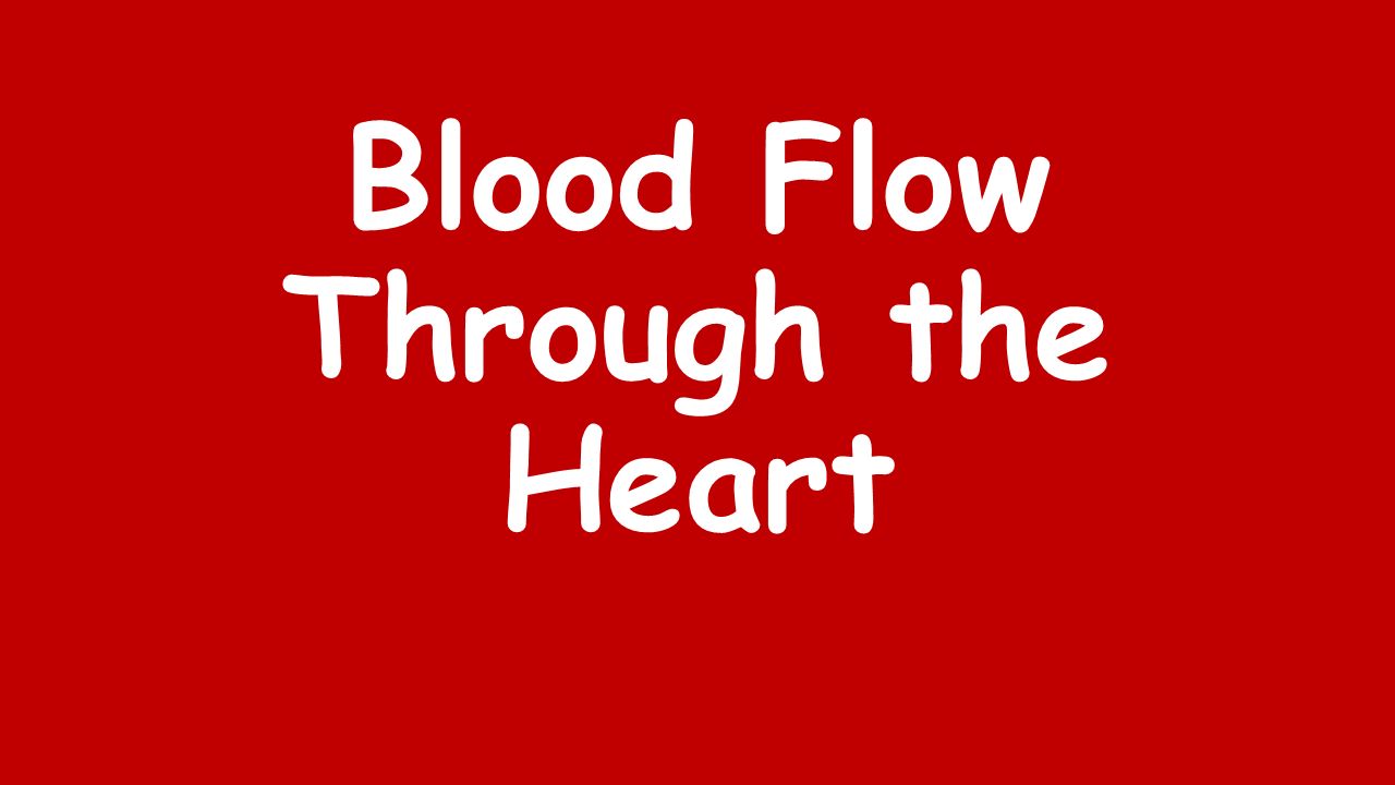 Blood Flow Through the Heart
