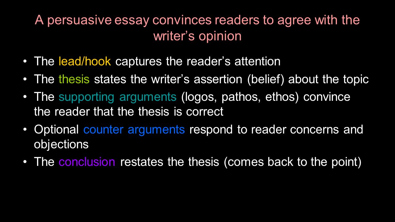 freedom writers essay essay freedom writers essay essay