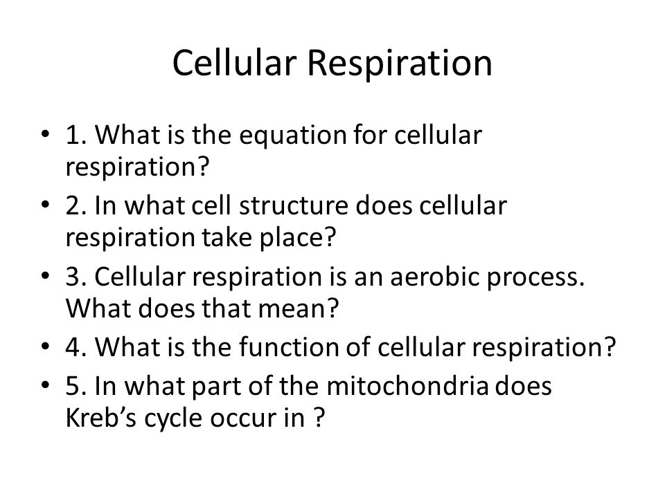 Whats The Equation For Cellular Respiration Talkchannels Cellular Respiration Cells Making Energy 1