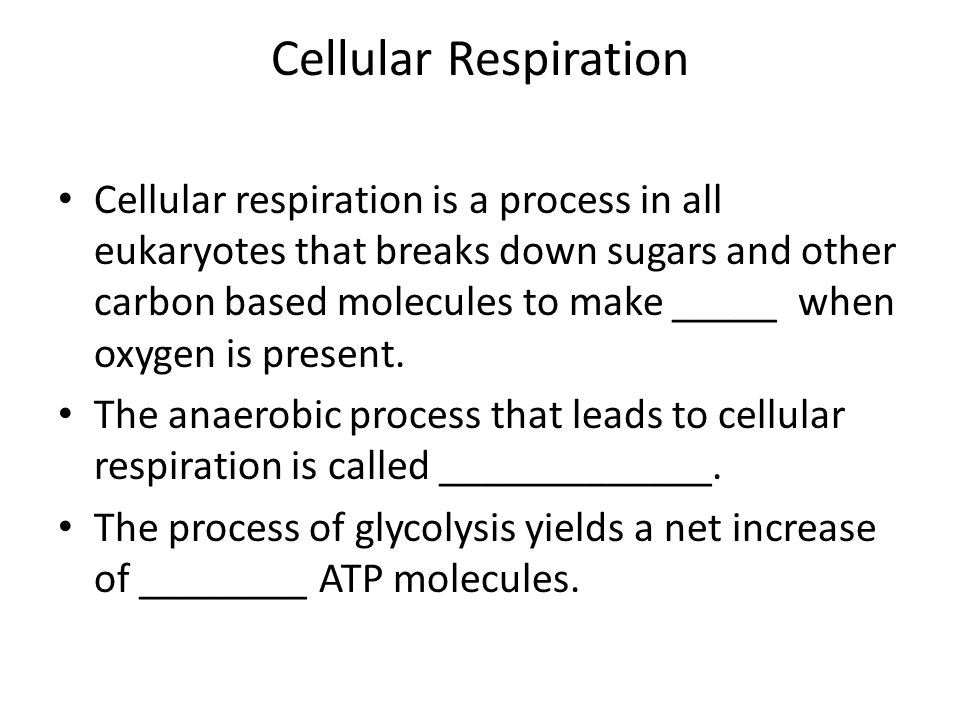 Net Equation For Glycolysis Talkchannels Cellular Respiration Cells Making Energy 1