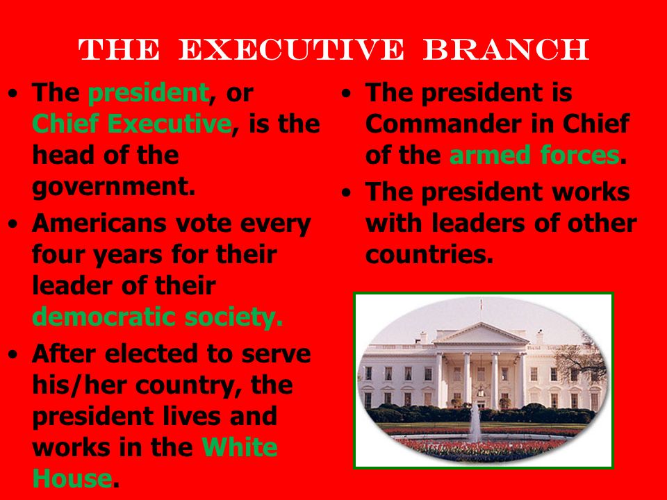 what would i do if i were president essay Hoover and roosevelt views on the great depression history essay print reference this published: 23rd march, 2015 disclaimer: this essay has been submitted by a. what would i do if i were president essay Hoover and roosevelt views on the great depression history essay print reference this published: 23rd march, 2015 disclaimer: this essay has been submitted by a.