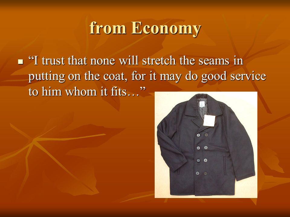 Essay About Economy