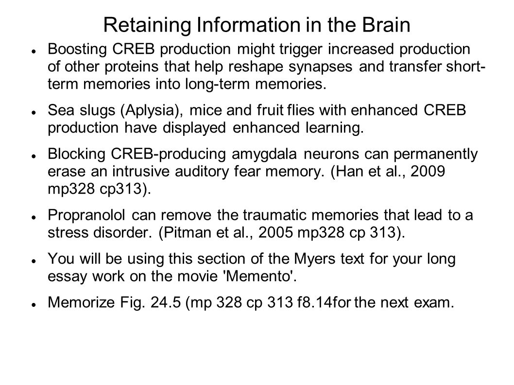 short term memory essay Effect of short term memory essays: over 180,000 effect of short term memory essays, effect of short term memory term papers, effect of short term memory research paper, book reports 184 990 essays, term and research papers available for unlimited access. short term memory essay Effect of short term memory essays: over 180,000 effect of short term memory essays, effect of short term memory term papers, effect of short term memory research paper, book reports 184 990 essays, term and research papers available for unlimited access.