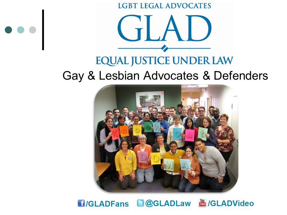 lesbian advocates and gay