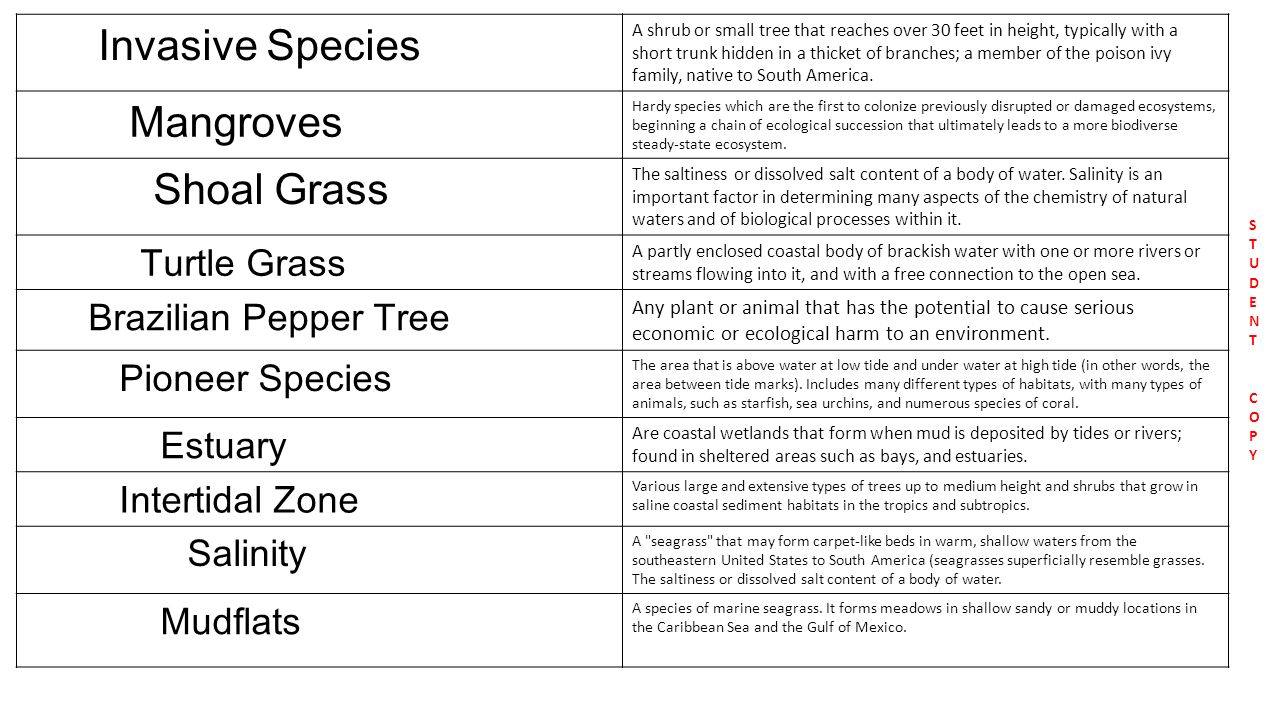 worksheet Planet Earth Shallow Seas Worksheet invasive species vocabulary sort a shrub or 2 invasive