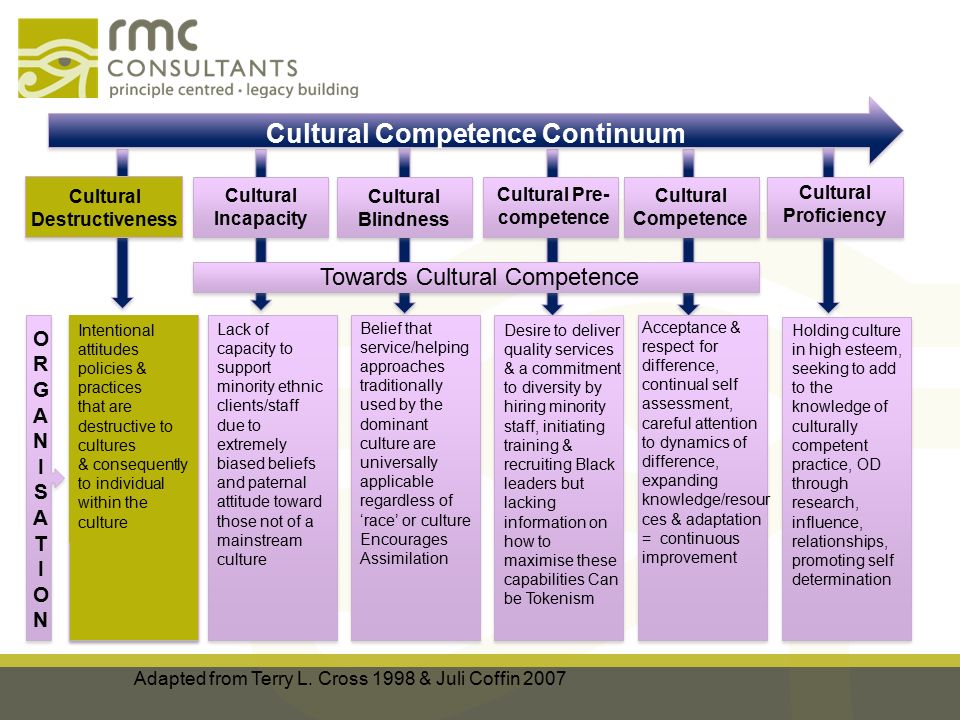 cultural competence continuum