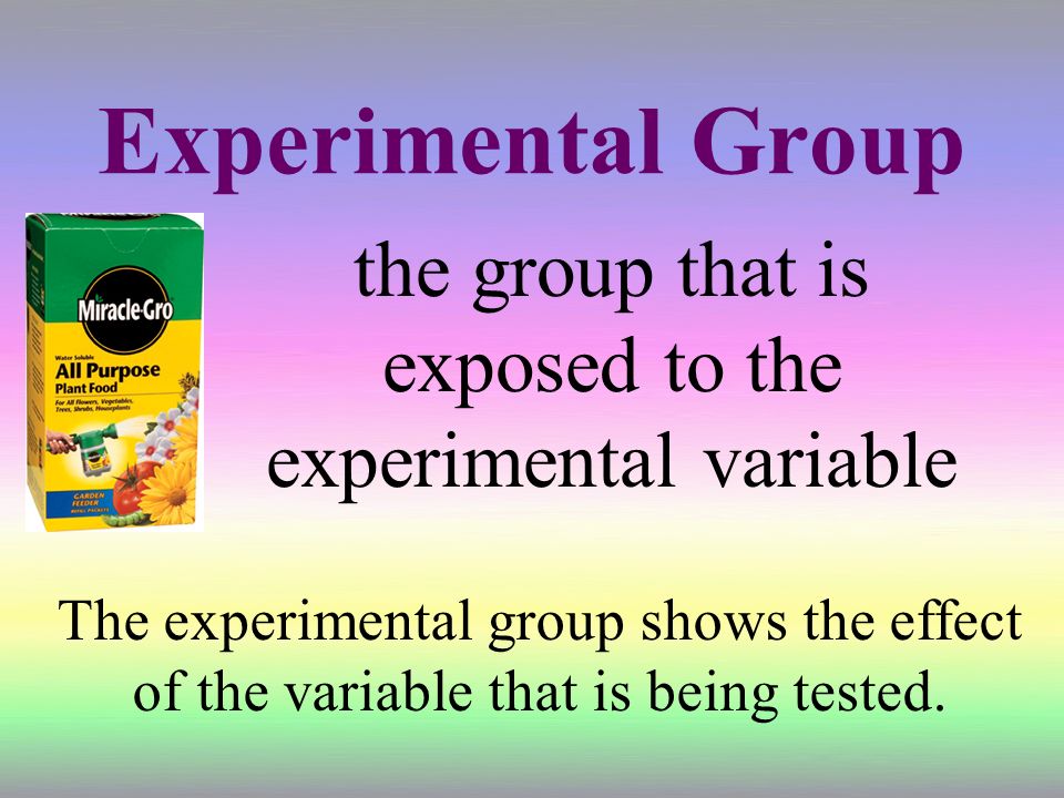 Experimental Group the group that is exposed to the experimental variable The experimental group shows the effect of the variable that is being tested.
