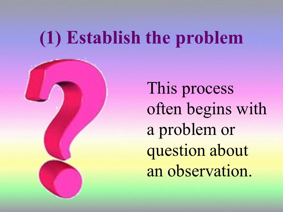 (1) Establish the problem This process often begins with a problem or question about an observation.