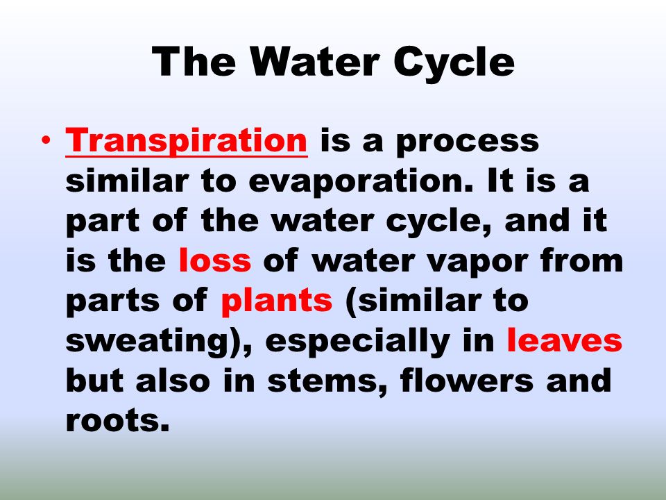 The Water Cycle Transpiration is a process similar to evaporation.