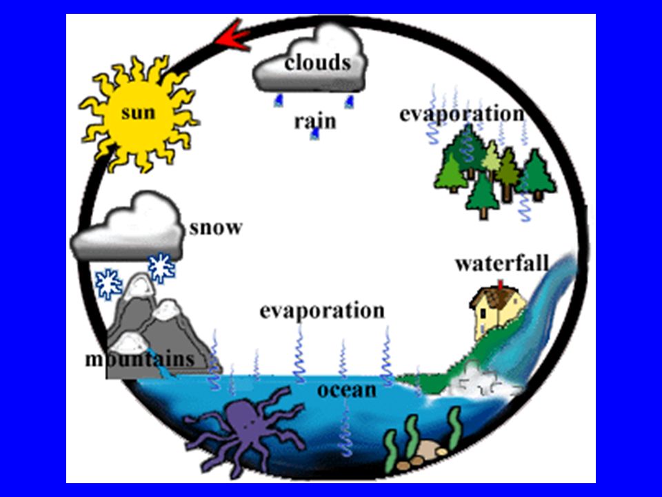 The Water Cycle The continual movement of water throughout our planet.
