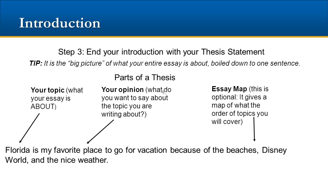 what is essay structure what is essay structure