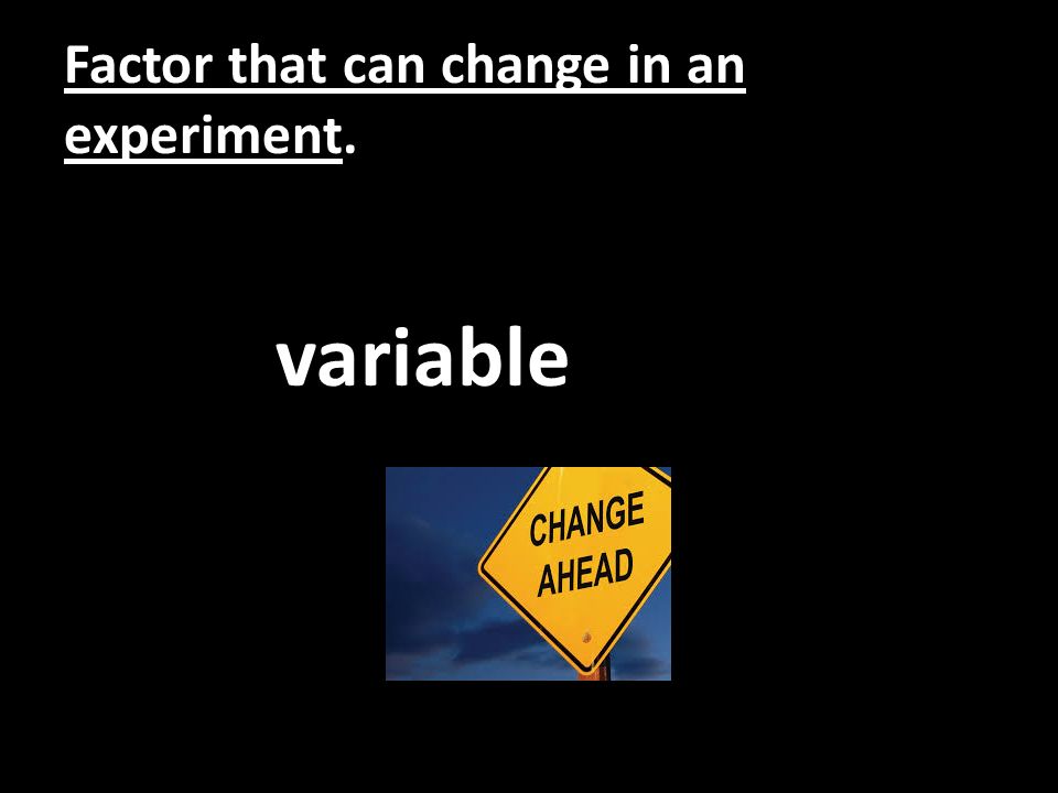 Factor that can change in an experiment. variable