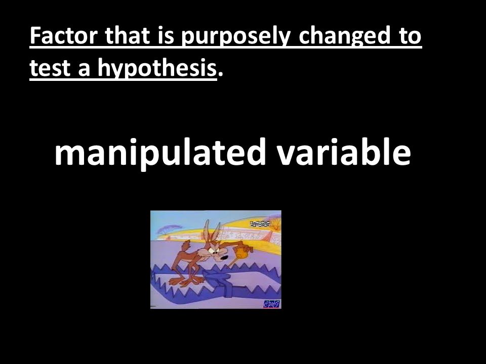 Factor that is purposely changed to test a hypothesis. manipulated variable