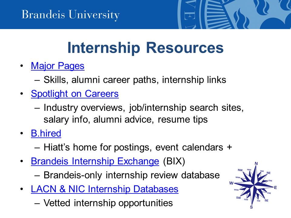 brandeis application essays brandeis application essays