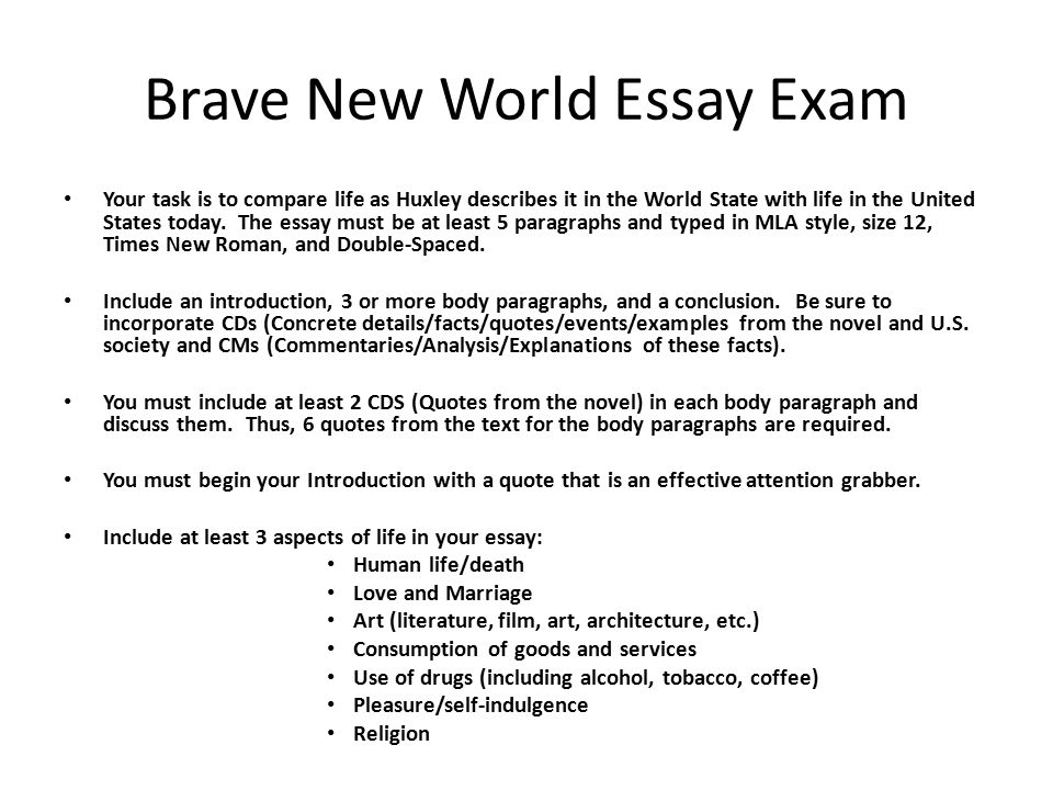 art introduction essay