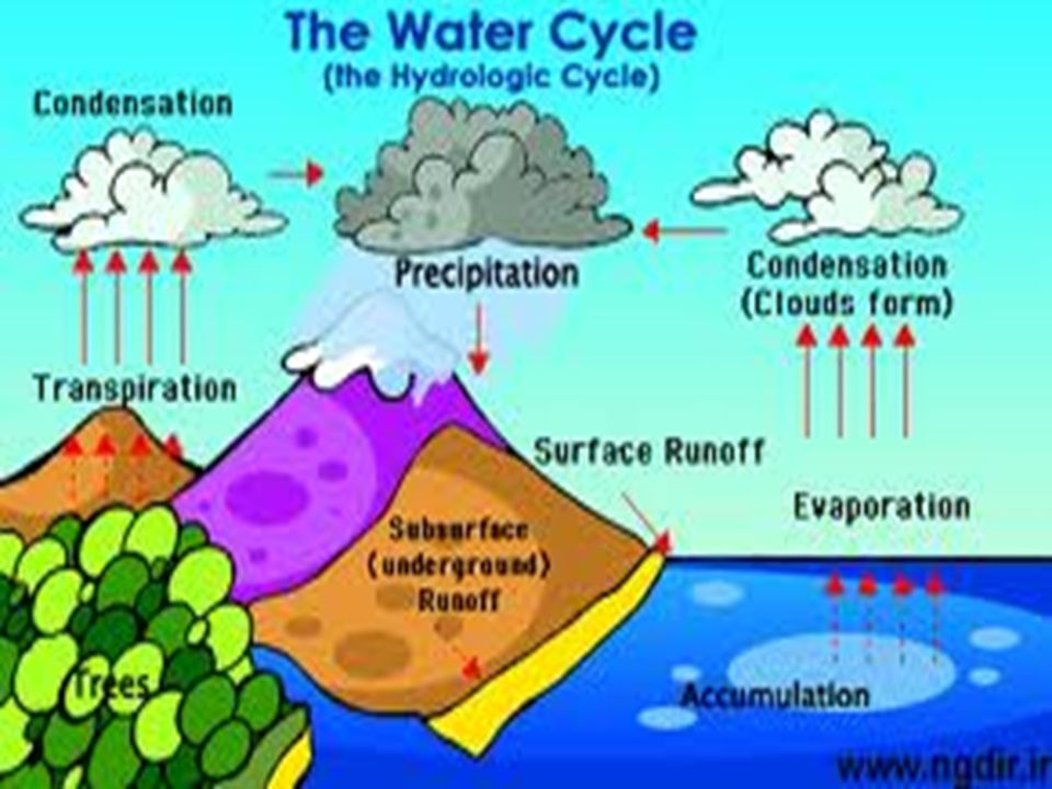 Worksheets Label The Diagram Of Water Cycle water changes of state boiling evaporation condensation p6 8