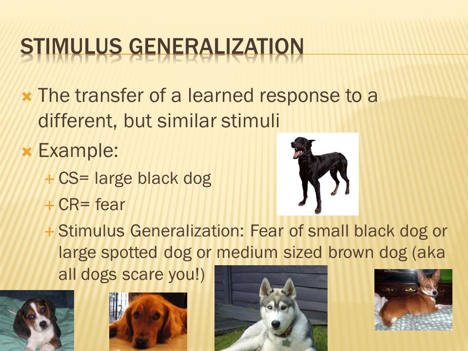 classical conditioning consists of repeated trials in which the stimulus generalization
